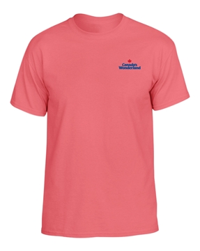 Picture of T-Shirt